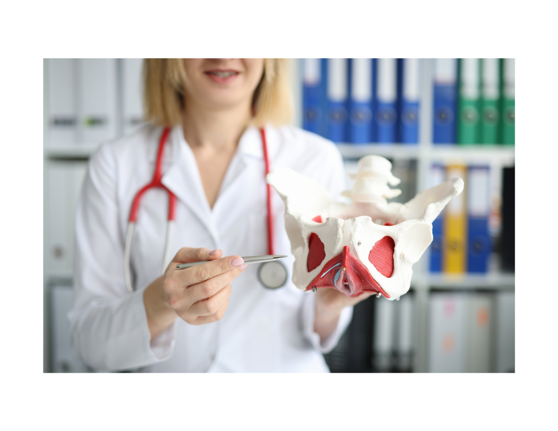 MIÉRT NEM EGYENLŐ A FESZES IZOM AZ ERŐS IZOMMAL?